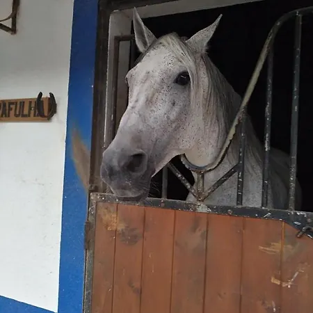 Дом отдыха #farocarmolodge Private Downtown & Free Parking